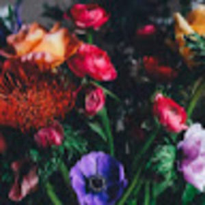 Meet your Posher, Urška